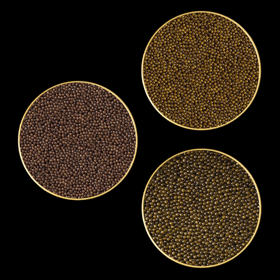 three open amur assetra kaluga caviar 