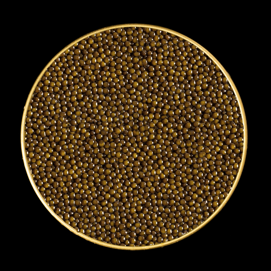Kaluga Hybrid Reserve Caviar