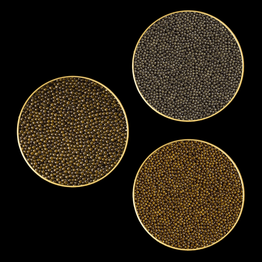 three gold open tins of brown caviar 