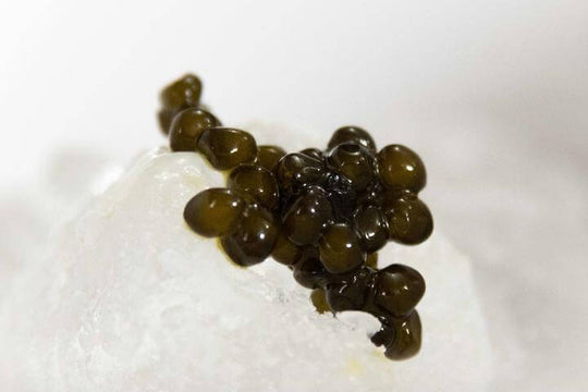 Farm-Raised Caviar of the Highest Quality