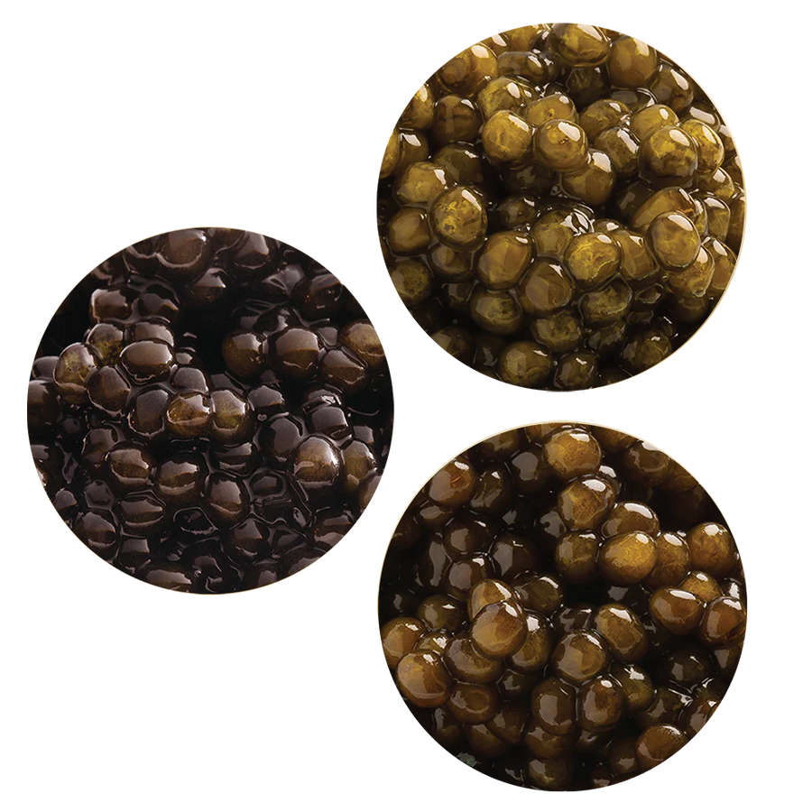Amur, Ossetra, Kaluga Caviar Tasting Bundle